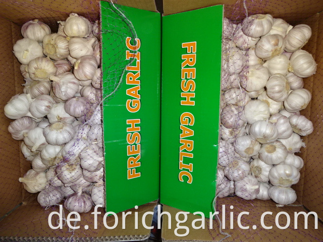 Good Quality Normal White Garlic